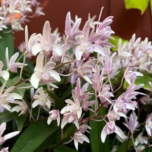 Meet your Posher, Alexandra